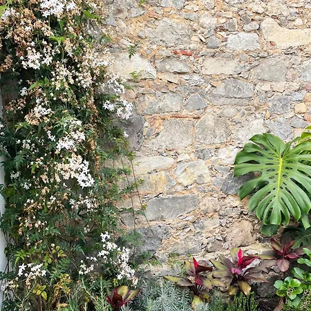 New! Stylish Portuguese Soul Retreat In Belém 4p Appartamento