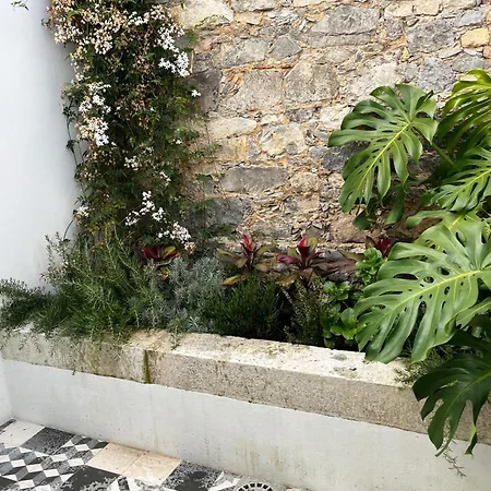 Appartamento New! Stylish Portuguese Soul Retreat In Belém 4p *